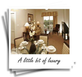 A little bit of luxury - Florida Apartment / Condo a great place for visiting Disney, Sea World, John Kennedy Space Centre, Coco Beach and doing some Discount shopping and Golf.